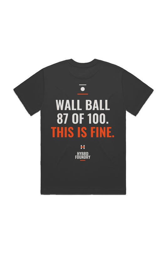 Wall Ball 87 Of 100 Back Print Tee